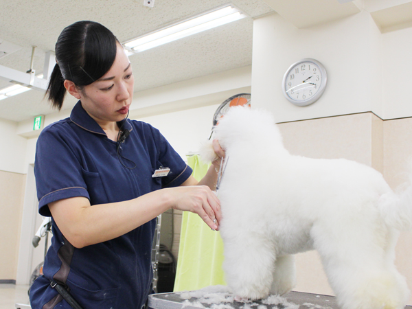先生の試技を１年生が見学☆ＰＡＲＴ②☆